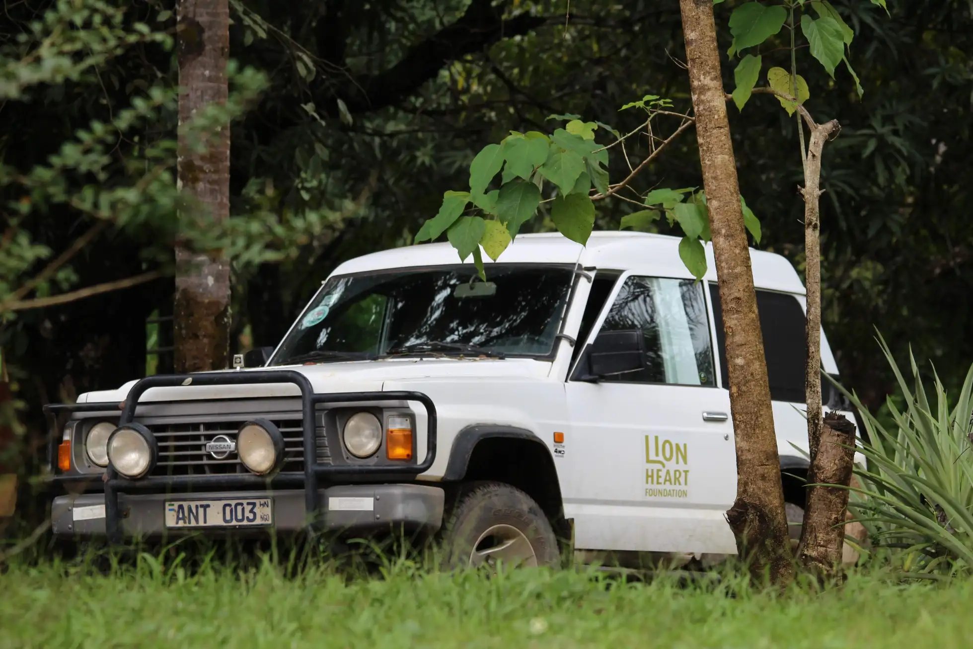 Een auto met het logo van Lion Heart Foundation in Sierra Leone