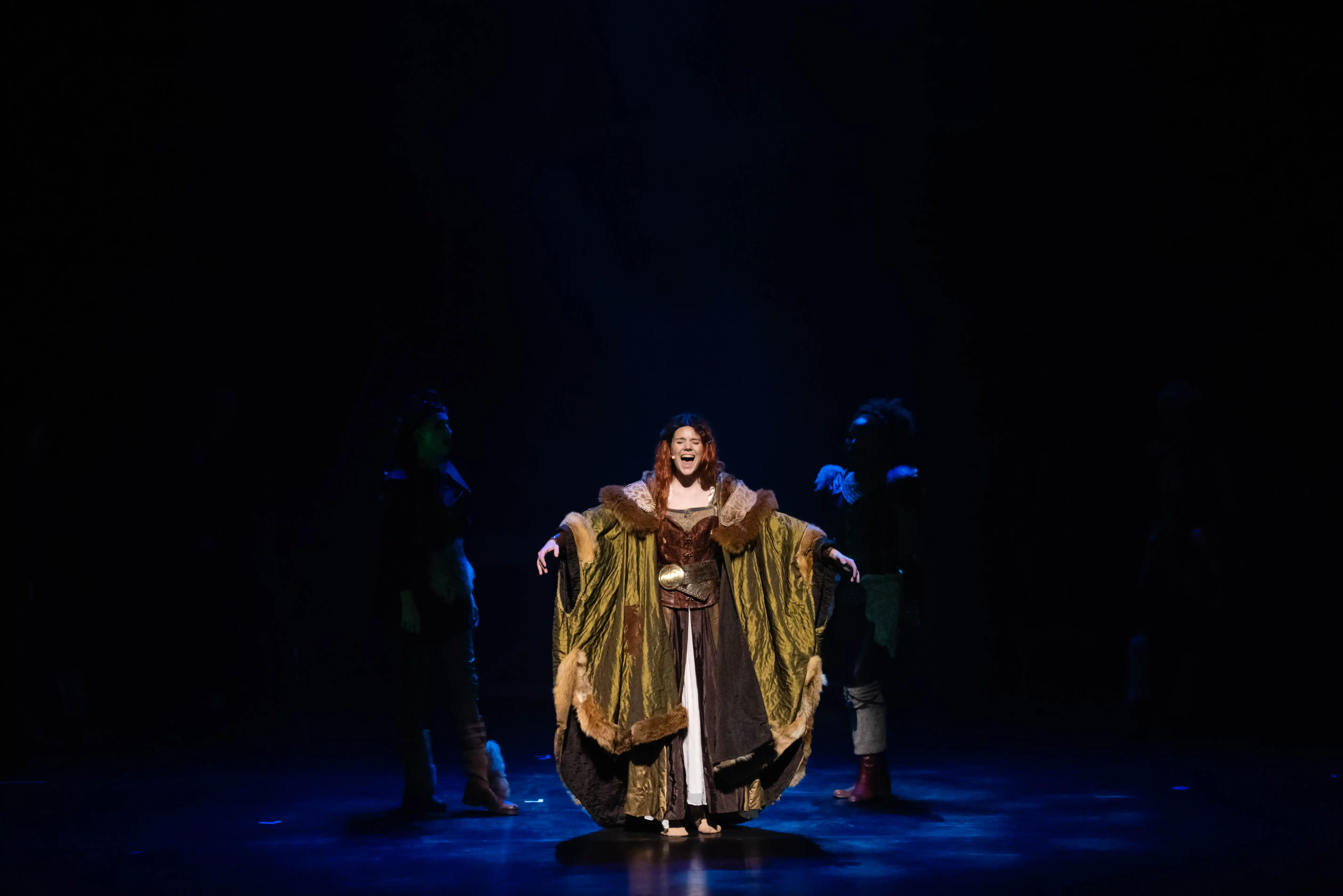 Een foto van Robin Hood de musical